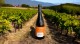 alorna-WHDB-2025-vinyard 002.jpeg