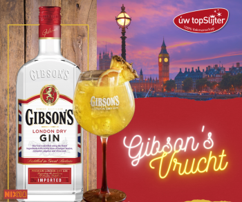 GIBSON'S Gin Cocktail Vrucht - uw topSlijter mixtip